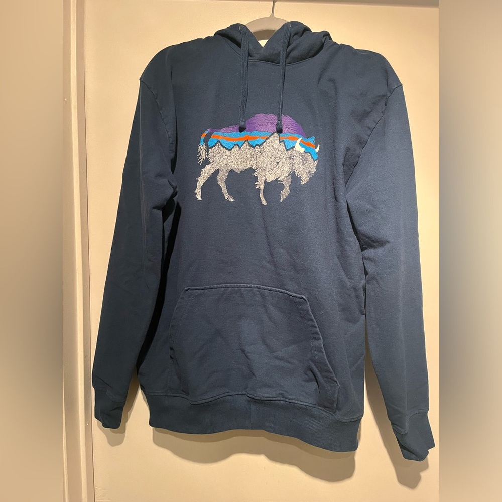 Men’s, Blue, Patagonia Sweatshirt